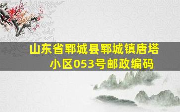 山东省郓城县郓城镇唐塔 小区053号邮政编码